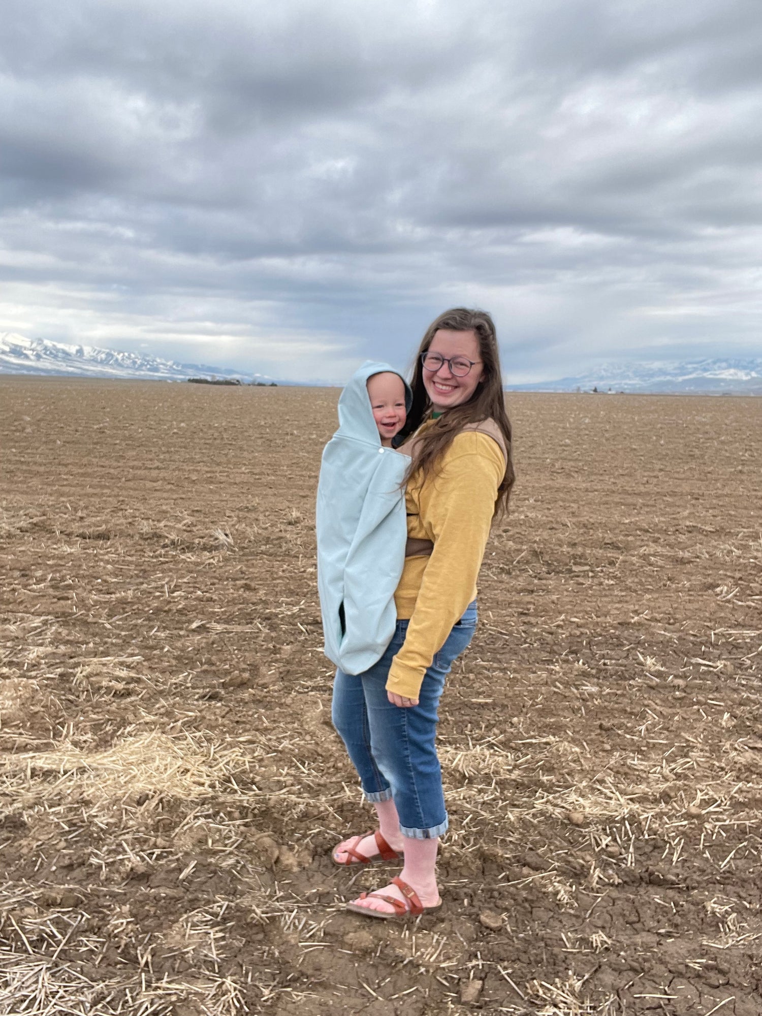 Wind and Rain carrier cover 